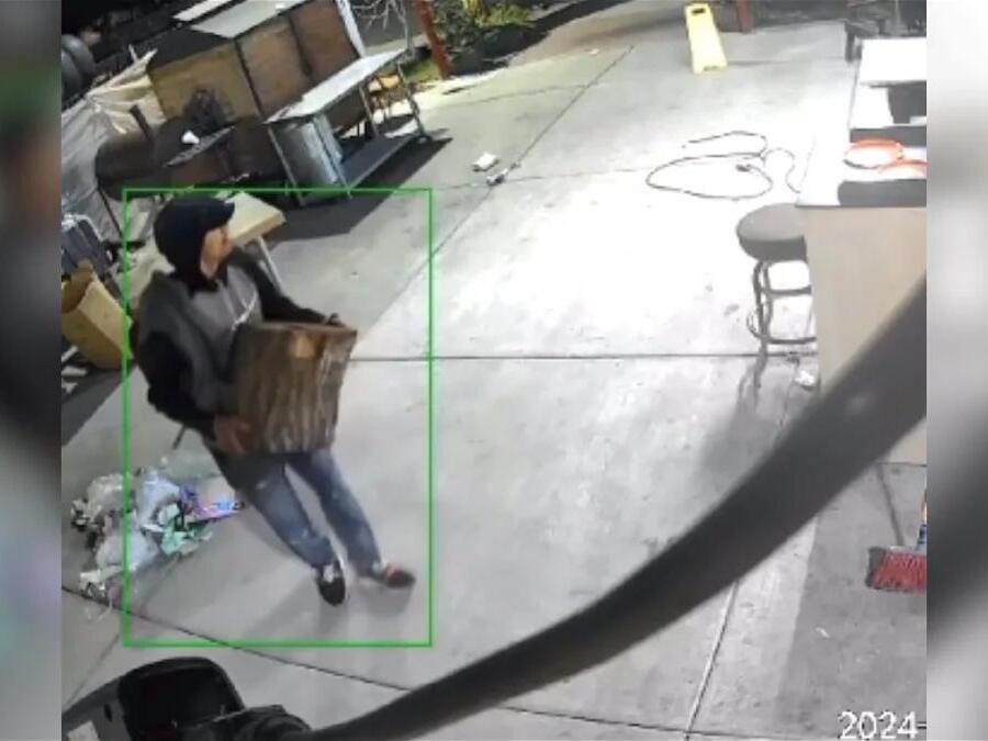 Video shows burglar breaking into Calexico business with tree stump