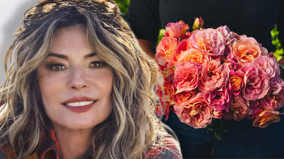 Shania Twain’s name takes root with new signature rose - NewsBreak