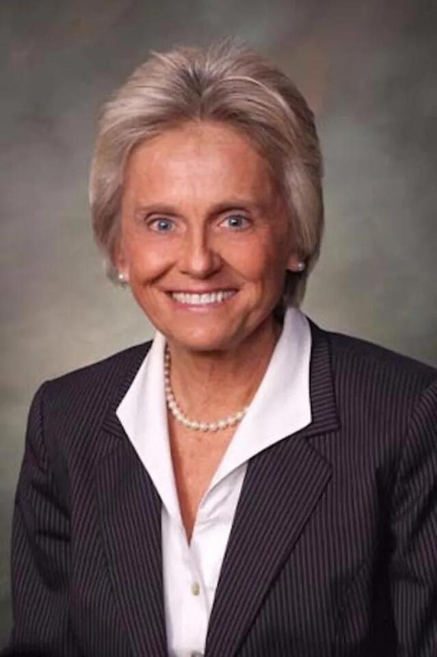 Larimer County election: Q&A with treasurer candidate Joann Ginal ...