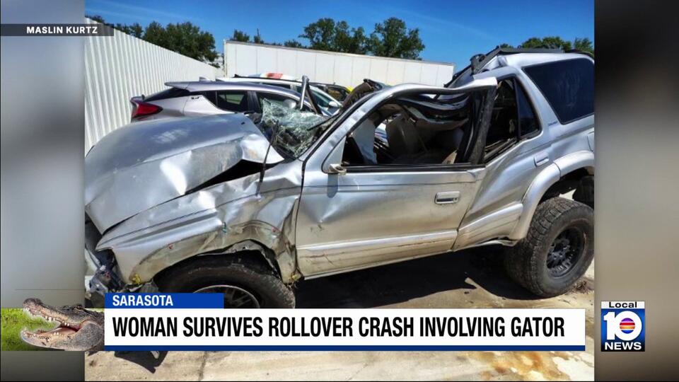 Florida woman survives rollover crash after hitting alligator on Easter ...