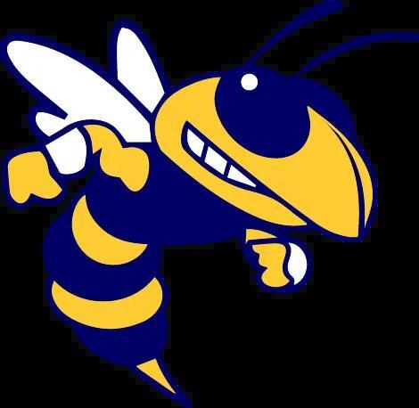 Wynne golf team looks to build on first season under Selby