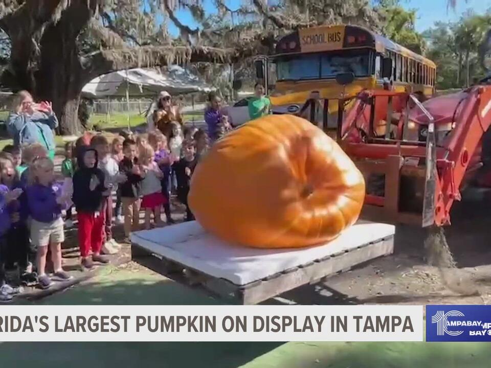 Florida's largest pumpkin arrives in Tampa