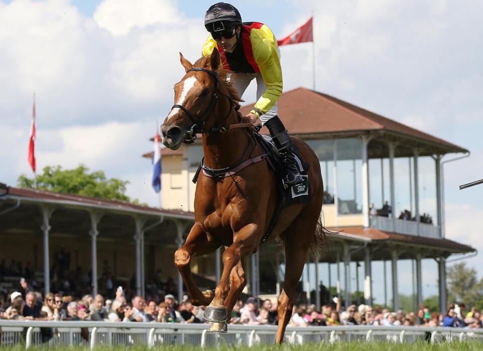 Laveran Becomes First Winner For Torquator Tasso In Munich