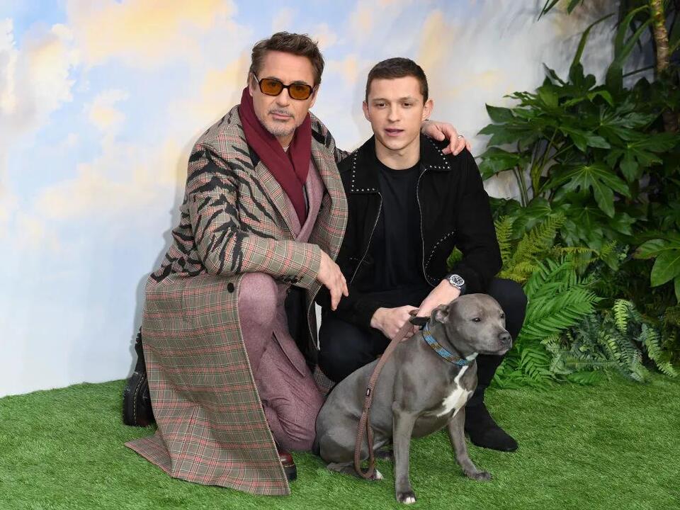 Tea Spiller Tom Holland Says Keeping Robert Downey. Jr’s Marvel Return Secret Was ‘Tough’ ‘I