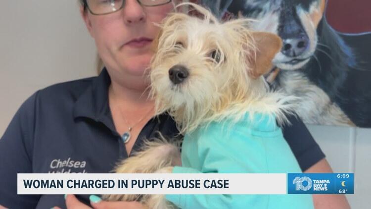 Woman charged in animal abuse case - NewsBreak