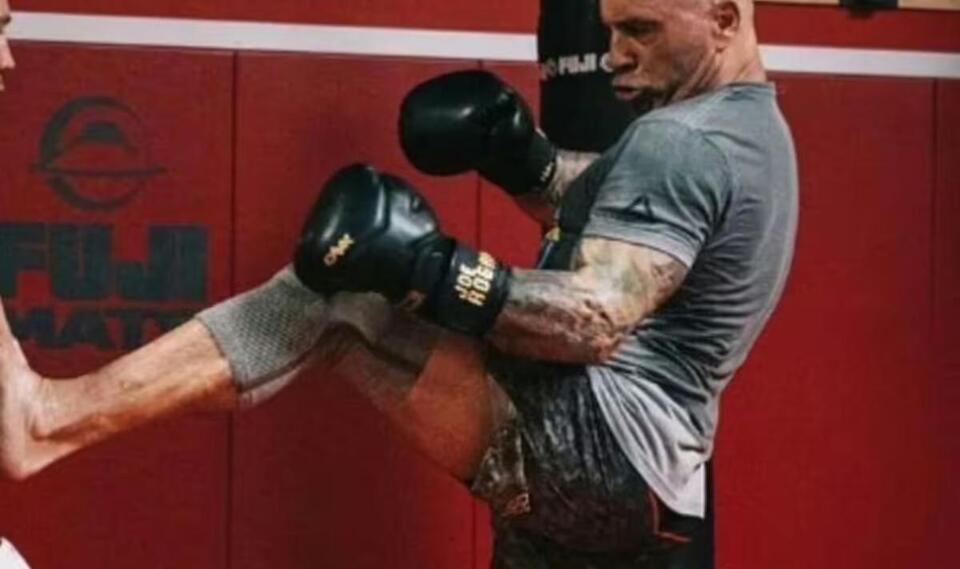 Joe Rogan's fighting background's after considering Wesley Snipes fight ...