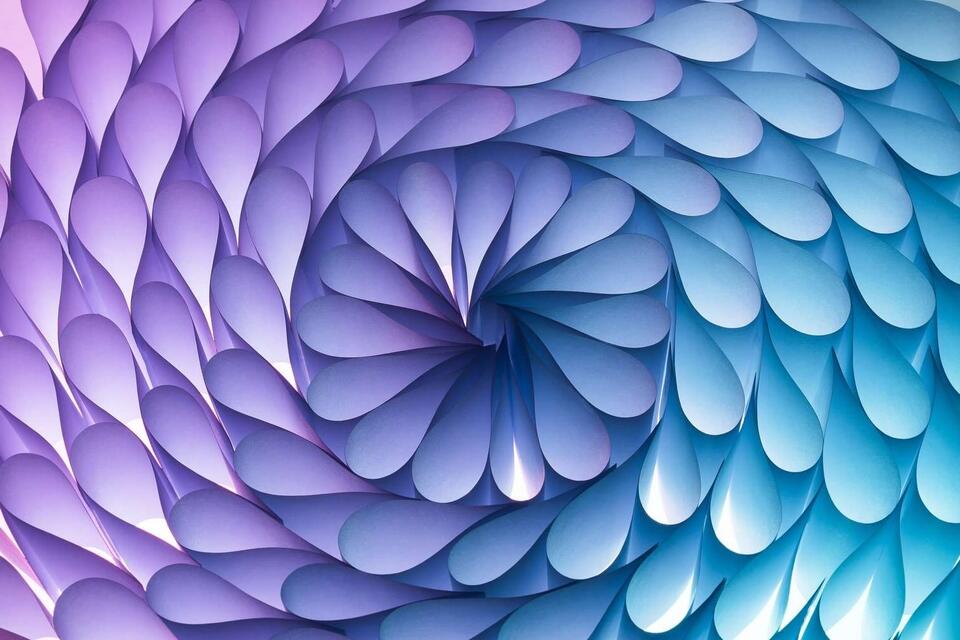 31 Facts About Pattern - NewsBreak