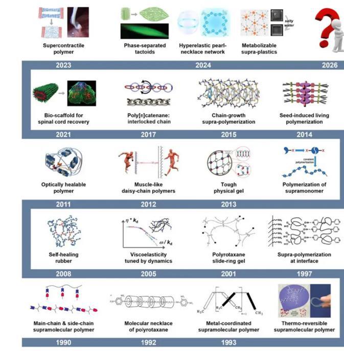 Nine challenges and future opportunities in supramolecular polymer ...
