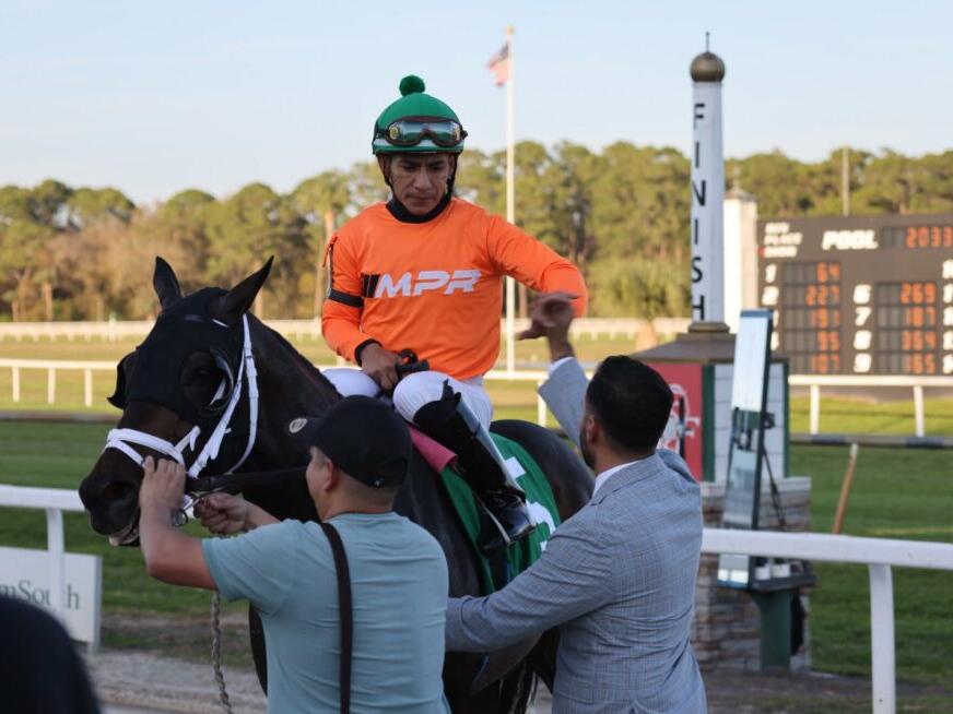 Tampa Bay Derby 2024 Tampa Bay Downs Picks [Kentucky Derby]