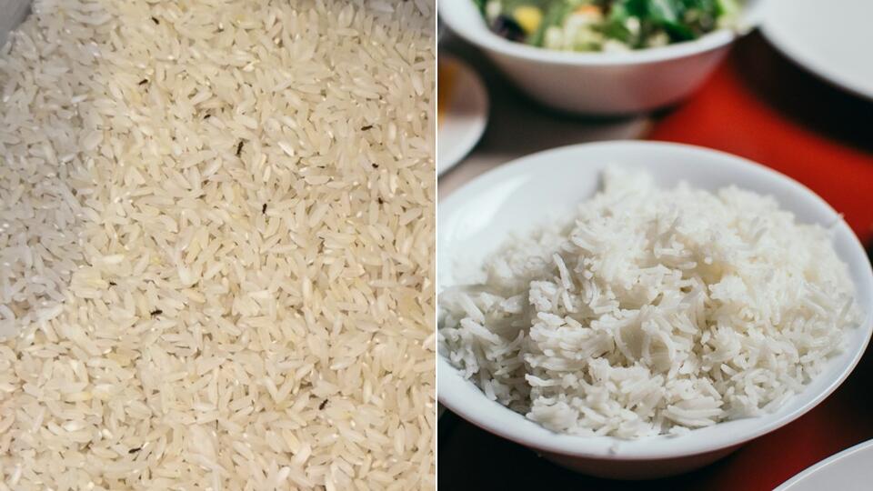 Costco Shopper in Irvine Finds the Rice She Bought Was Infested with ...