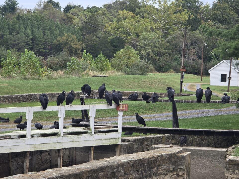 Ridge State Fish Farm & Hatchery - NewsBreak