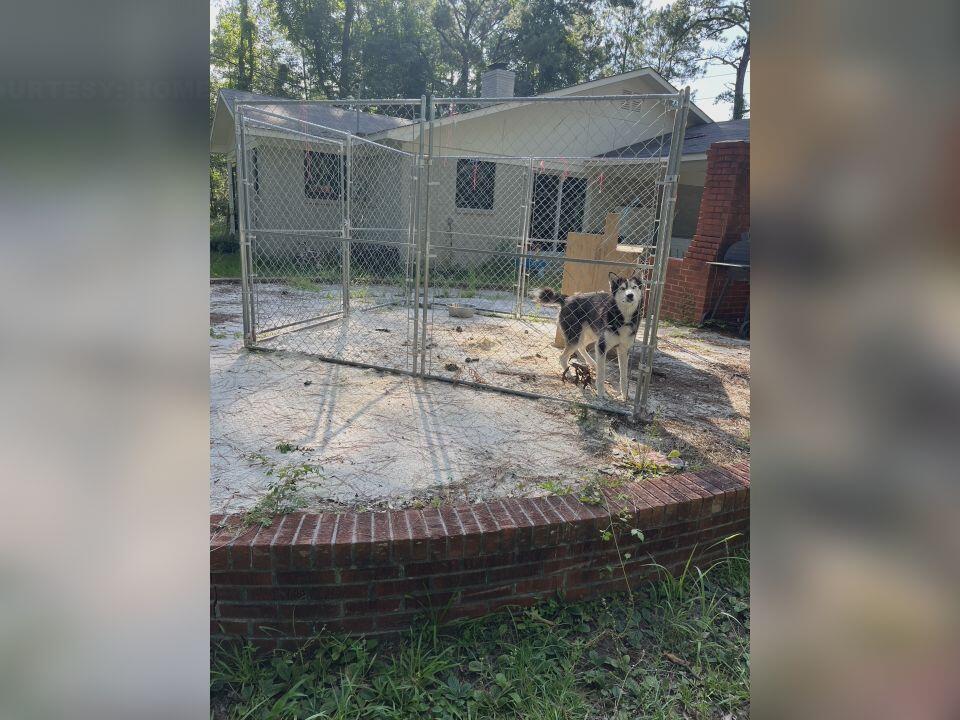 Animal rescue owner advocates for new Brunswick County shade law for dogs