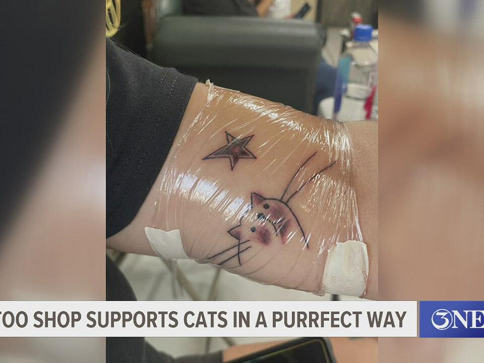 Forever Art Tattoo inking up cat lovers to support The Cattery Cat Shelter