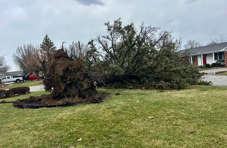 Thousands without power after severe thunderstorms and two possible ...