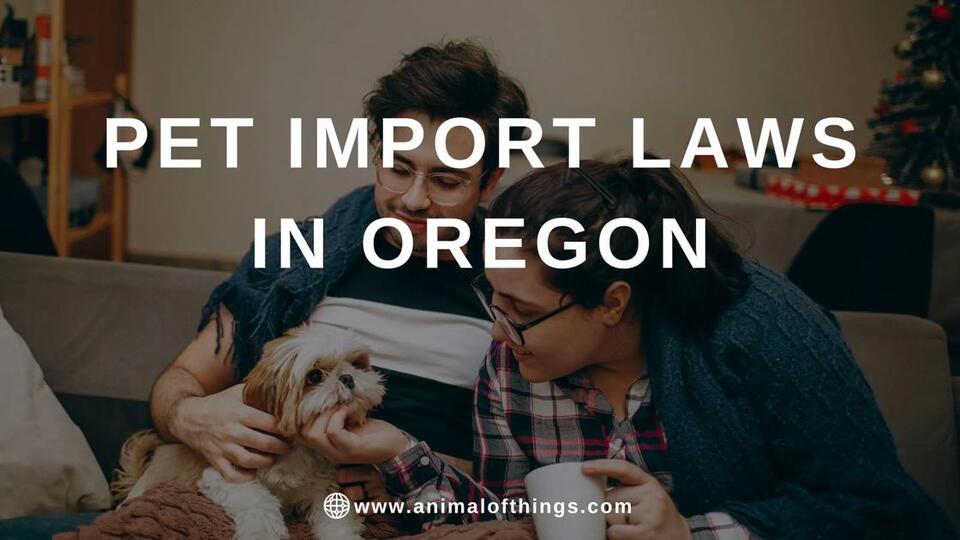 Oregon Pet Import Laws: What Every Pet Owner Needs to Know Before ...