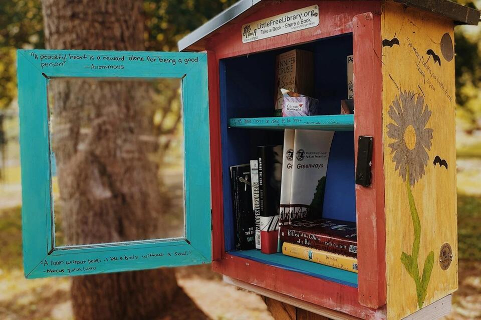 How to Start a Little Free Library in Washington - NewsBreak