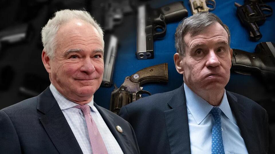 Image for Virginia senators want to inflict their tyrannical gun strategy on entire country
