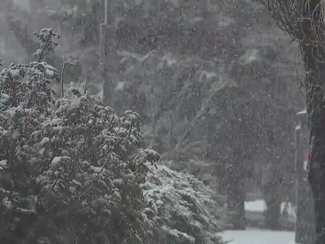 Arizona's October rainfall sets stage for crucial winter water season