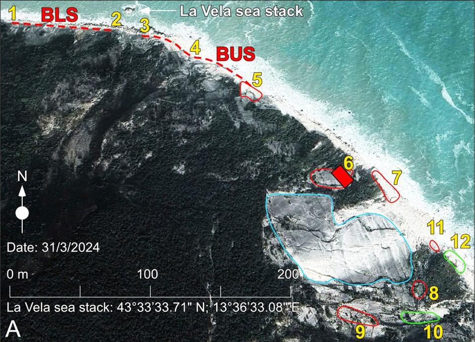 Hikers accidentally discover traces of a sea turtle stampede from 80 ...