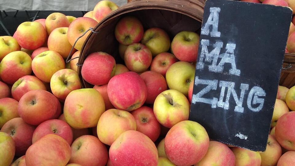 Honeycrisp vs Pink Lady Apples — What Shoppers Should Know This Spring ...