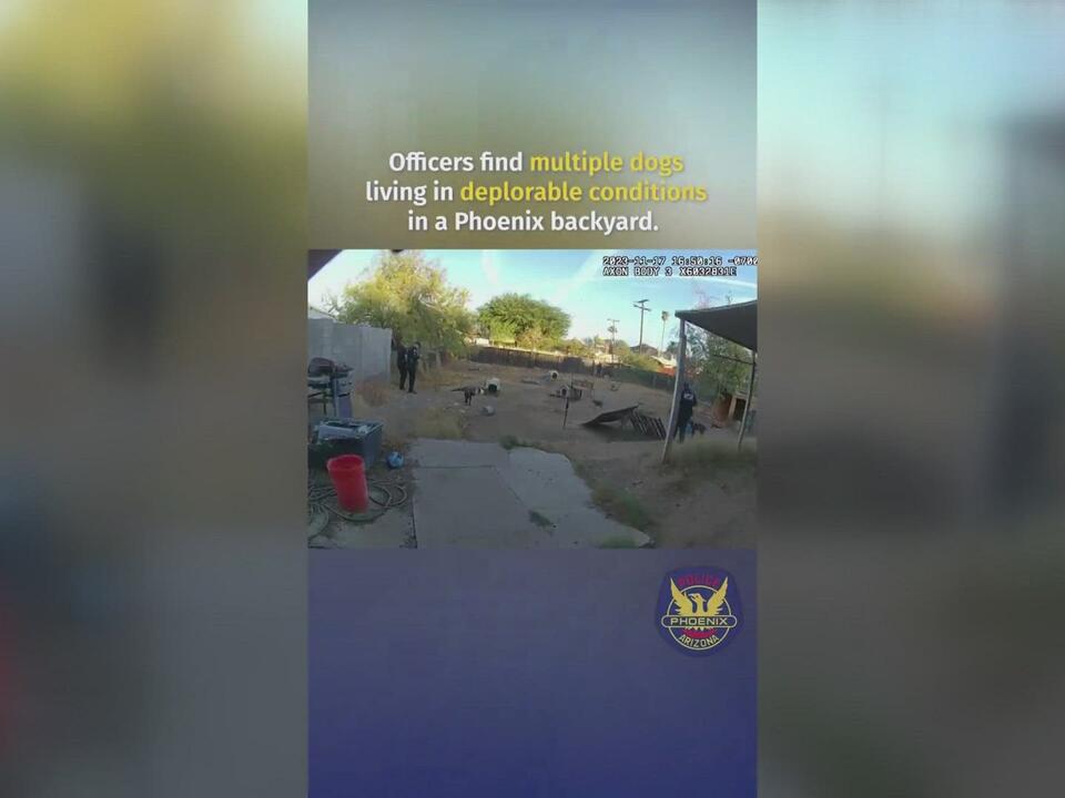 2 people facing 56 counts of animal cruelty in Arizona