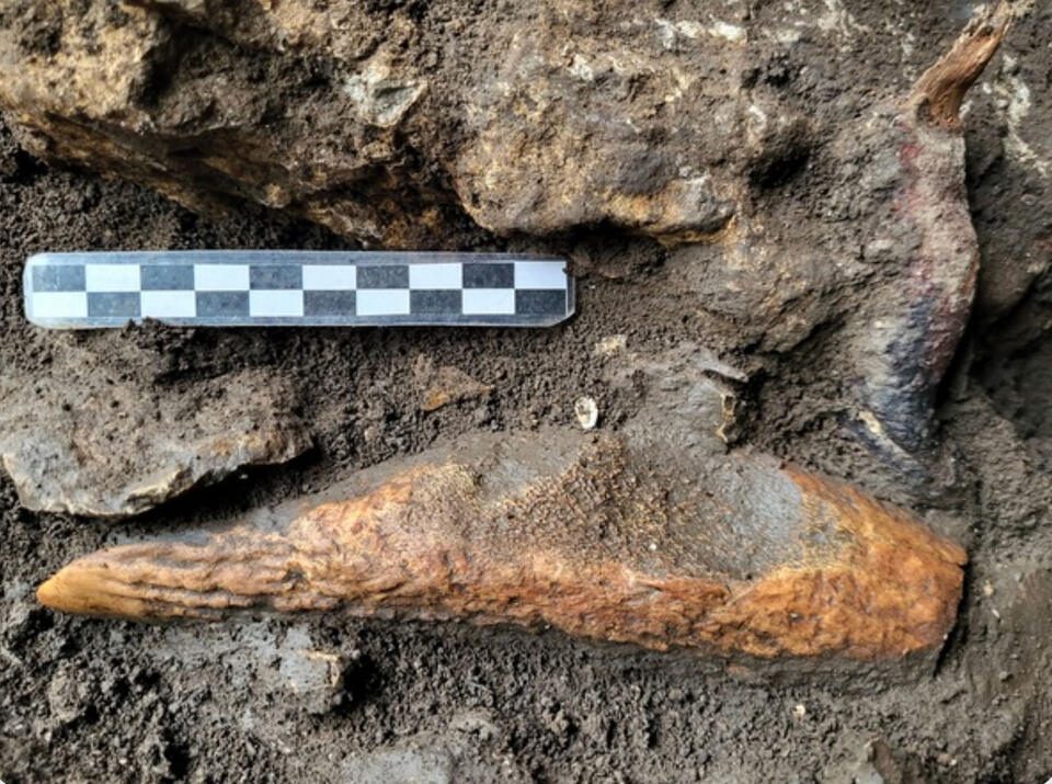 Evidence for Agricultural Transition Identified in Cave Overlooking the ...