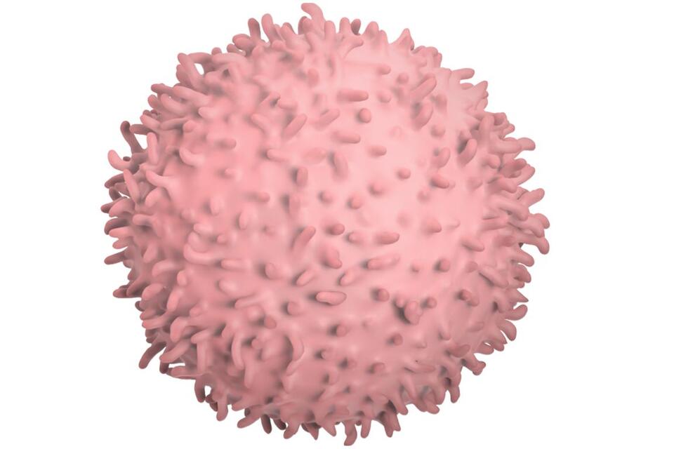 COVID-19 viral fragments shown to target and kill specific immune cells ...