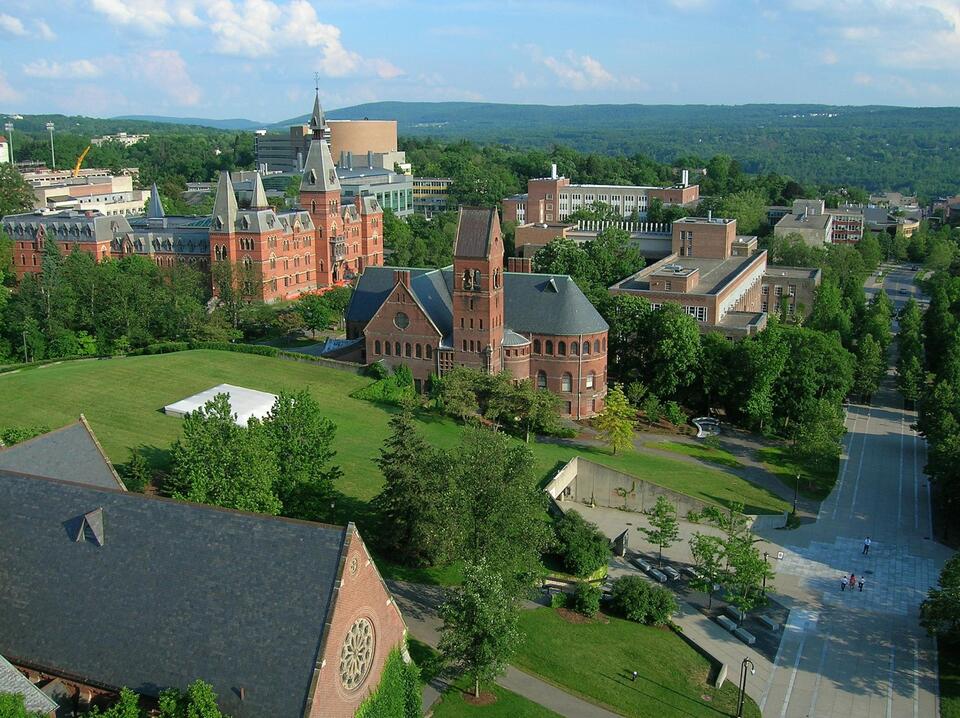 More Than Seven: What We Can Take From the Cornell Rape Investigation ...