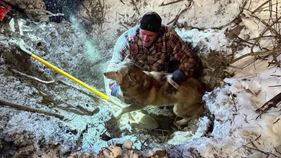Follow the paw prints: Aria the Husky freed from underground pipe in ...