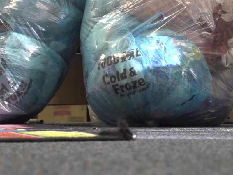 Spotswood Elementary students competing in recycling challenge