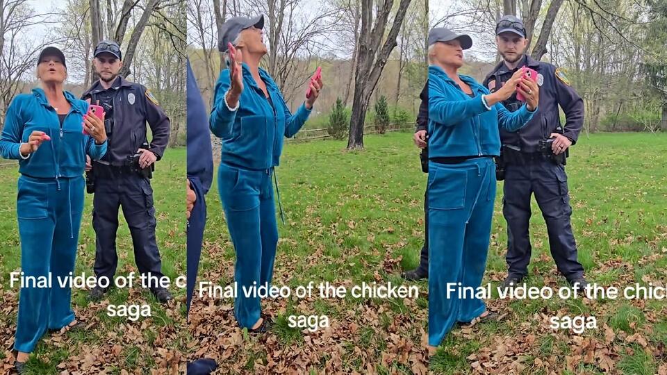 Connecticut Woman Calls Cops On Cuckoo Karen Trying To Steal Chickens ...