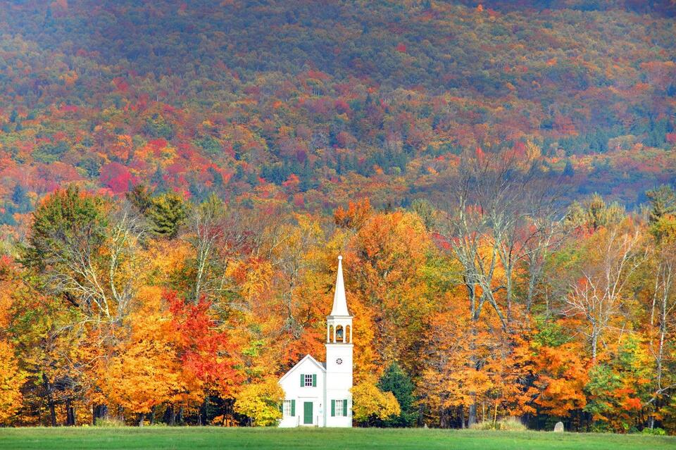Catch The Stunning Autumn Leaves Before They're Gone - NewsBreak