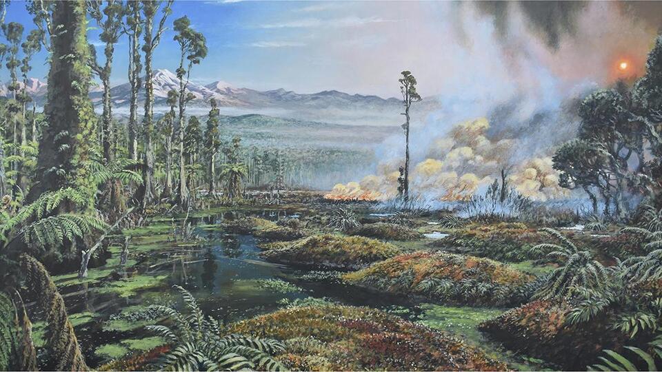 Wildfires Burned in Antarctica 90 Million Years Ago - NewsBreak