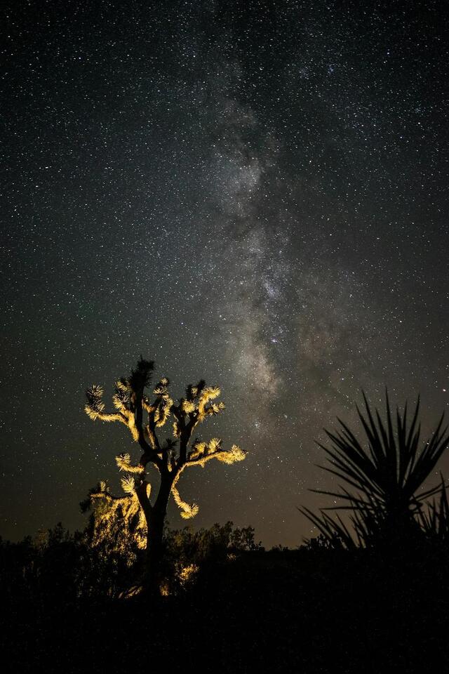 March 2026 Night Sky Guide: Jupiter, Crescent Moon, and Evening Planet ...