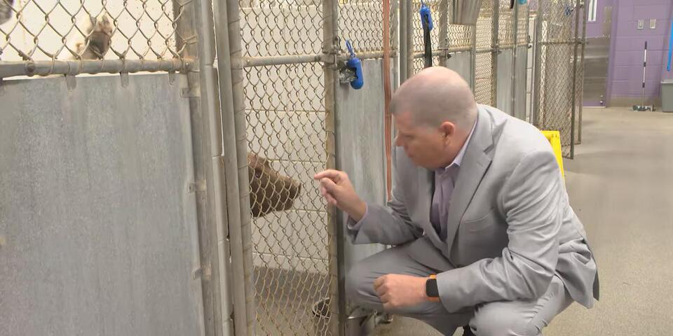 Meet John Fischer: Huntsville’s new Animal Services Director - NewsBreak