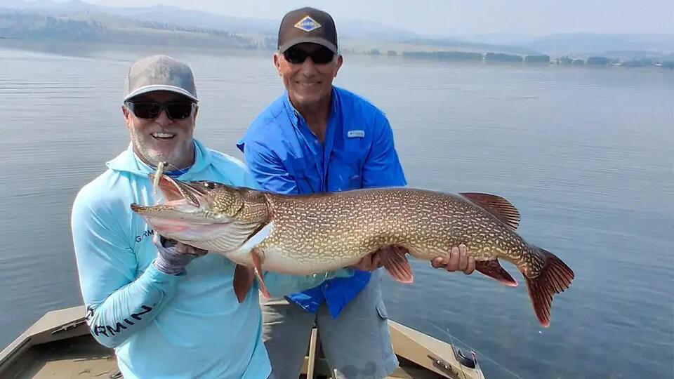 Monster 48-Inch, 35-Pound Class Northern Pike Caught And Released With Aid Of Hall Of Fame Fishermen