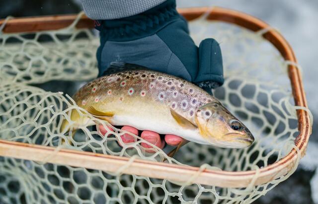 Your Guide to the Best Ice Fishing in Wisconsin - NewsBreak