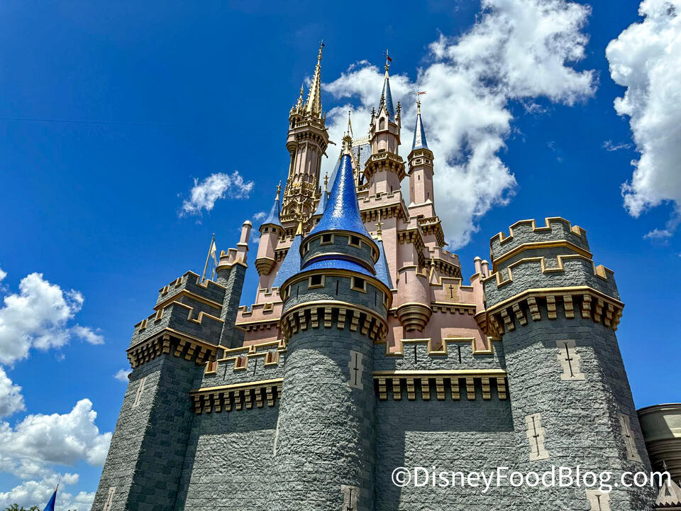 If THIS Doesn’t Happen in Disney World in 2025, Disney Adults Will Riot ...