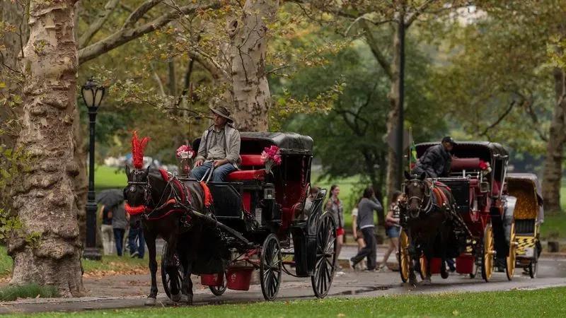 NYC votes to ban Central Park horse-drawn carriages by 2028 - NewsBreak
