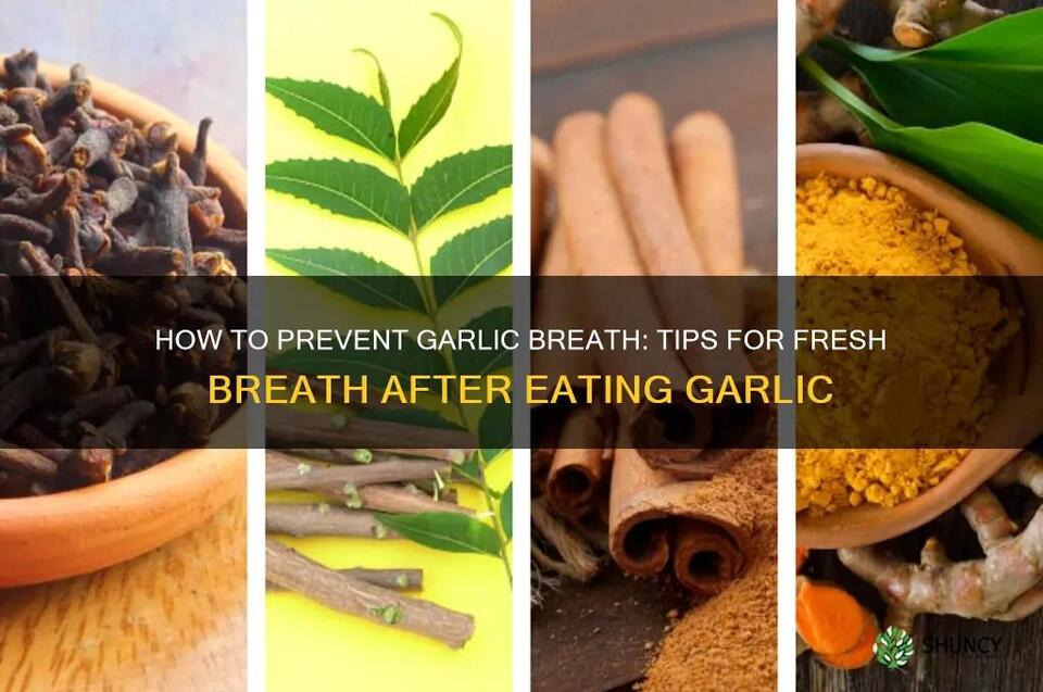 How To Prevent Garlic Breath: Tips For Fresh Breath After Eating Garlic ...