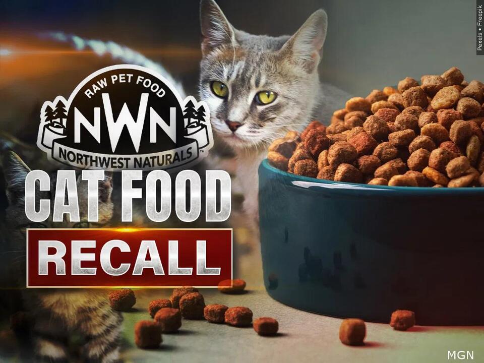 Pet food recall linked to bird flu, what you need to know - NewsBreak