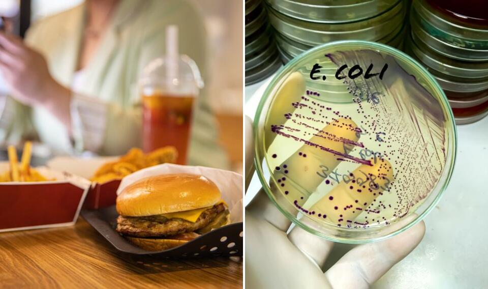 Fast-Food Chains With The Worst Food Poisoning Outbreaks - NewsBreak