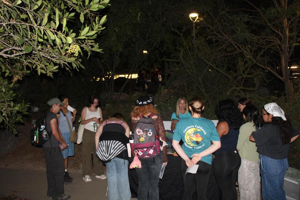 B.A.T.S. club takes flight on biannual Bat Night - NewsBreak