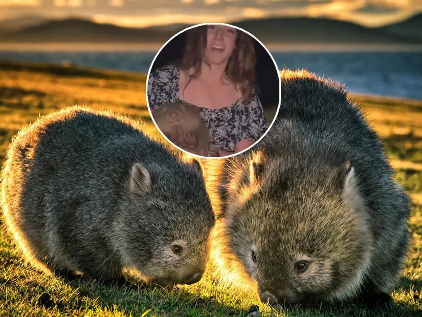 Influencer Who Snatched Baby Wombat From Its Mother Issues Apology Amid ...