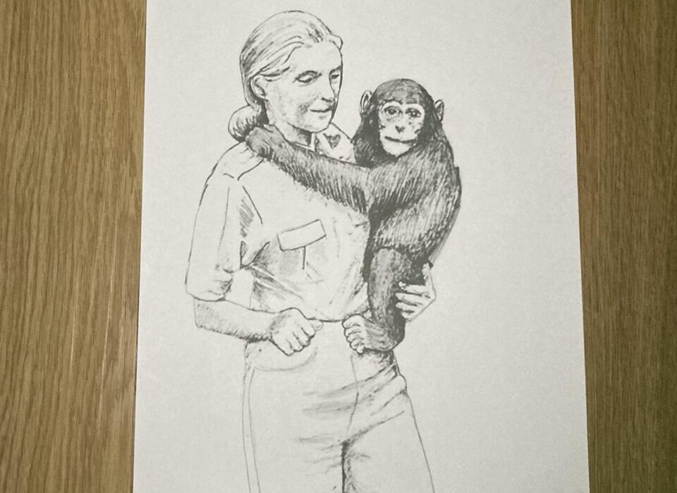 The Legacy of Jane Goodall: “Chimpanzee Lady” - NewsBreak