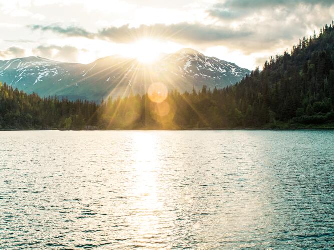 Carrollton Daily Weather Forecast