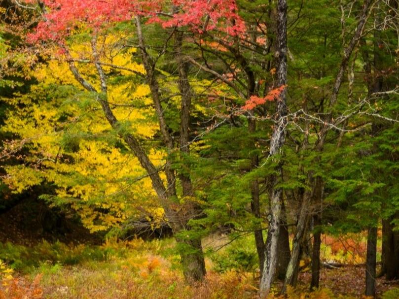 Unseasonable RecordBreaking Warmth on the Way for Southern New England