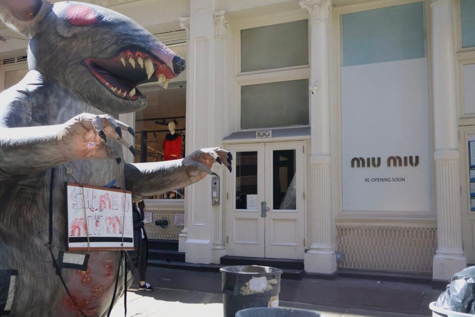 Why are there huge inflatable rats in NYC? - NewsBreak