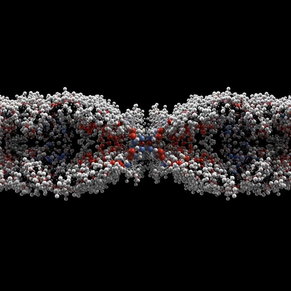 Interface Force Field Achieves 1000x Faster Alumina Modelling for Key ...