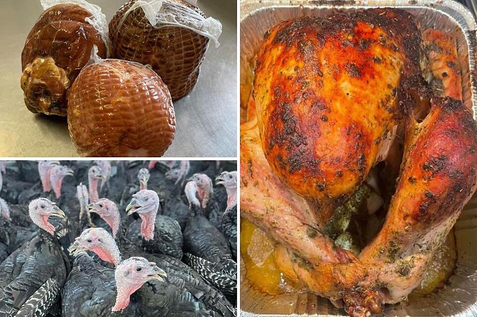 Jackpot: How to Buy A Farm Fresh Turkey for Thanksgiving - NewsBreak